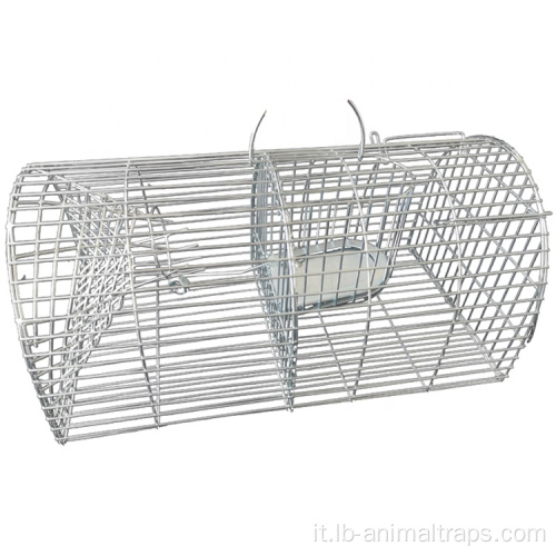 Le trappole di ratto animale vive in gabbia per mouse